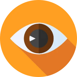 Vision Icon